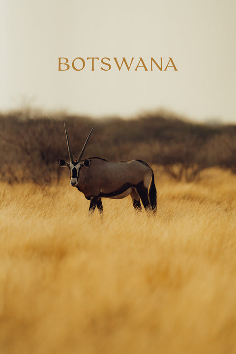 India & Botswana Magazin - Bundle