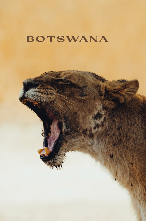 Botswana - Magazin